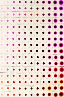 MMX Show_28b.jpg mmxshow28b.jpg