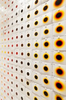 MMX Show_31.jpg mmxshow31.jpg