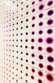 MMX Show_32.jpg mmxshow32.jpg